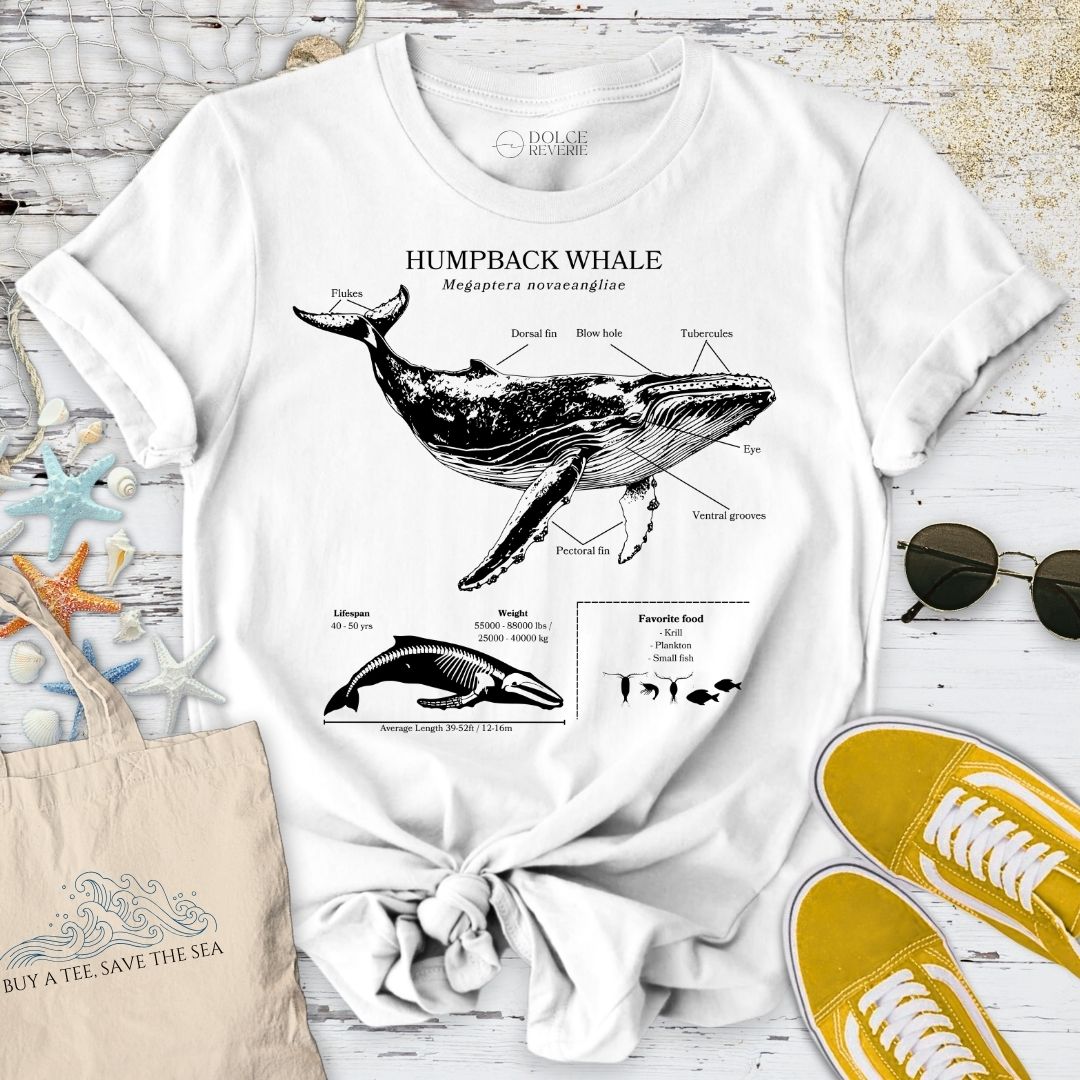 Humpback Whale Anatomy T-Shirt