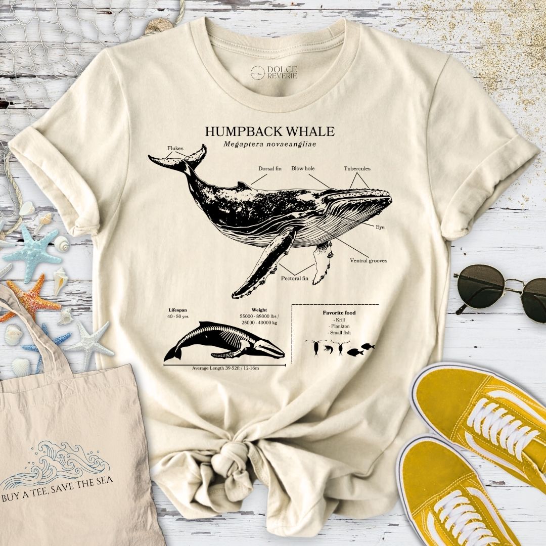 Humpback Whale Anatomy T-Shirt