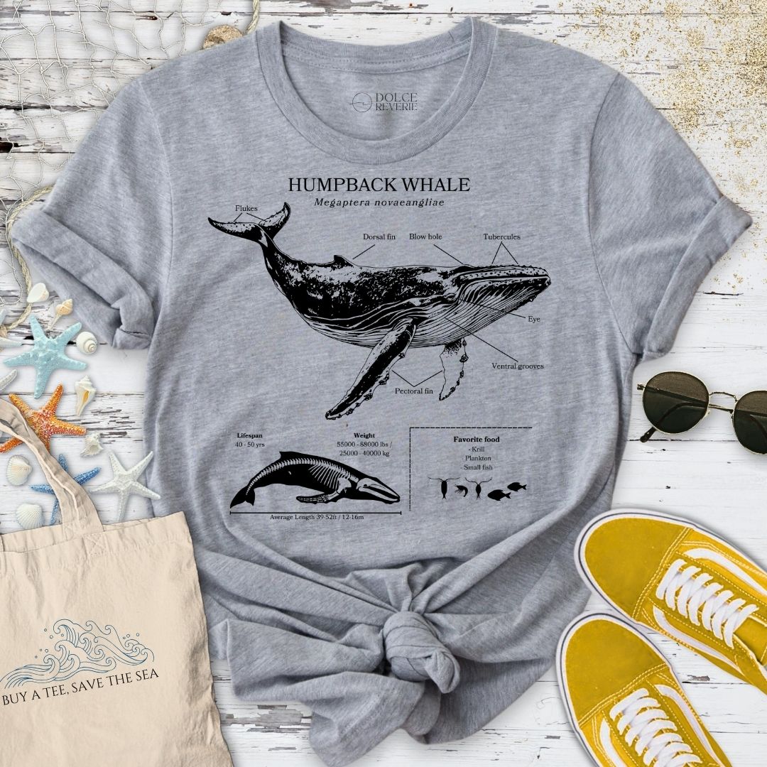 Humpback Whale Anatomy T-Shirt