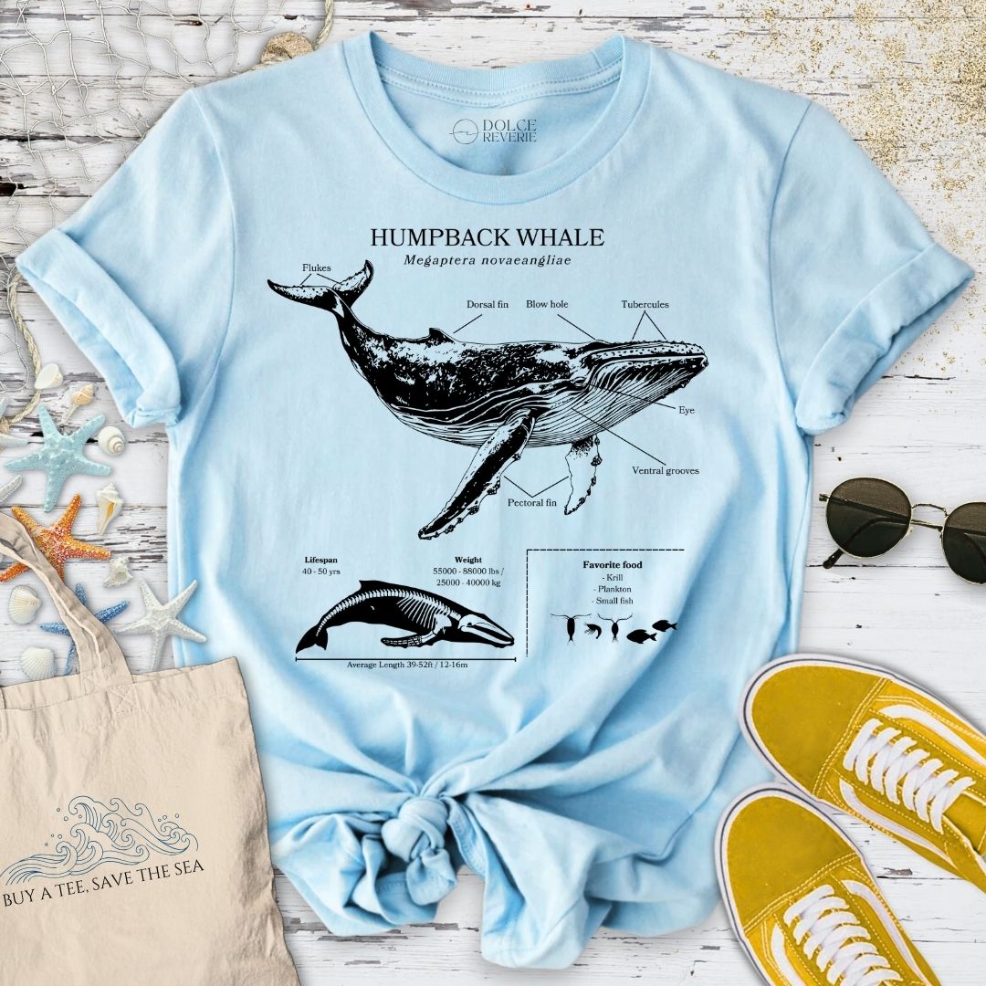 Humpback Whale Anatomy T-Shirt