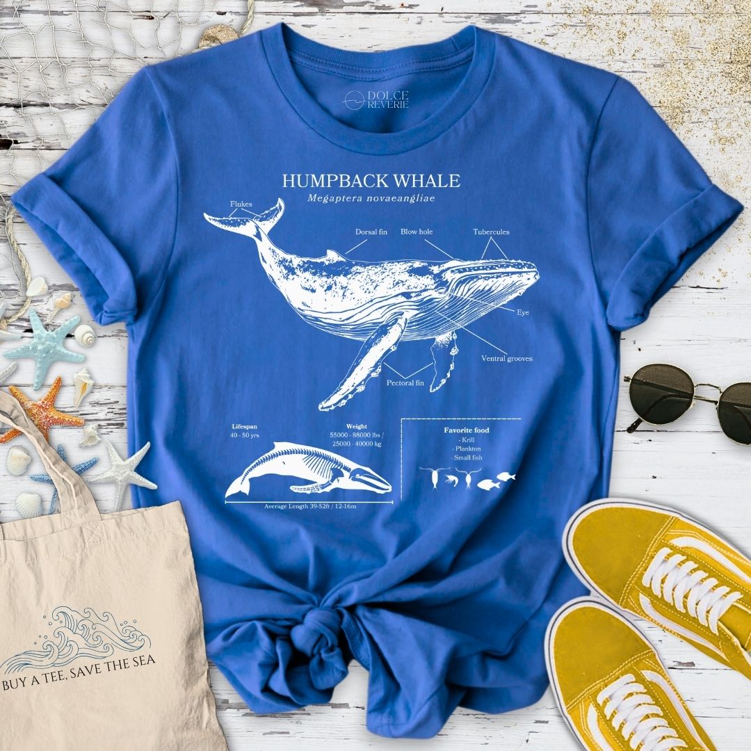 Humpback Whale Anatomy T-Shirt
