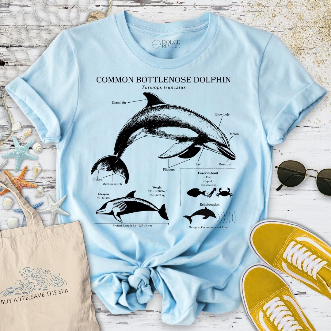 Dolphin Anatomy T-Shirt