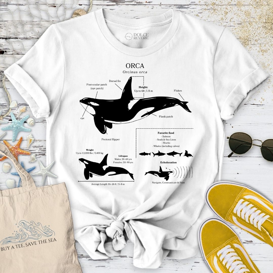 Orca Anatomy T-Shirt