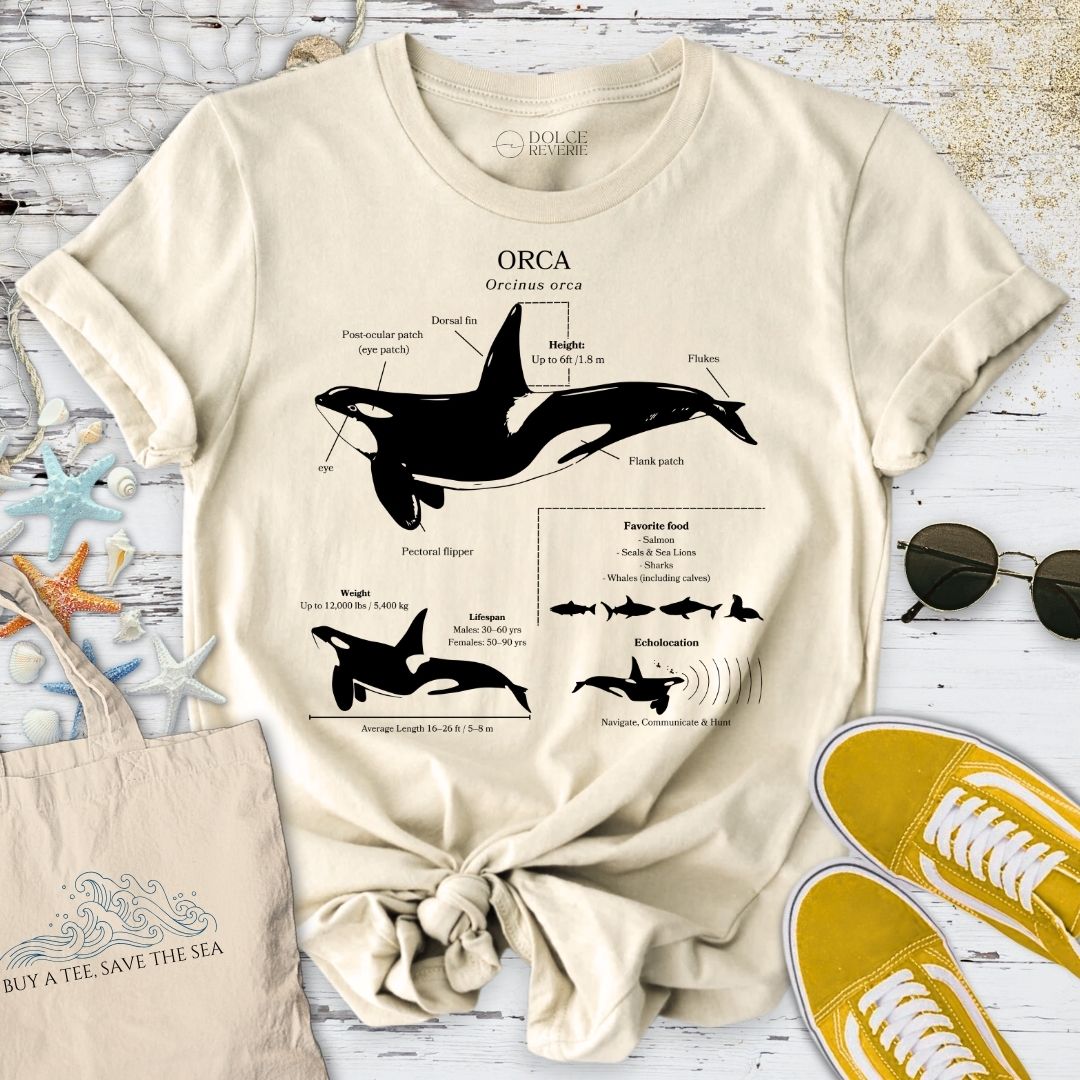 Orca Anatomy T-Shirt