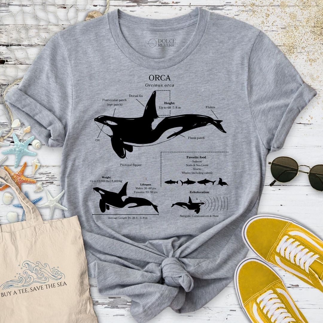 Orca Anatomy T-Shirt