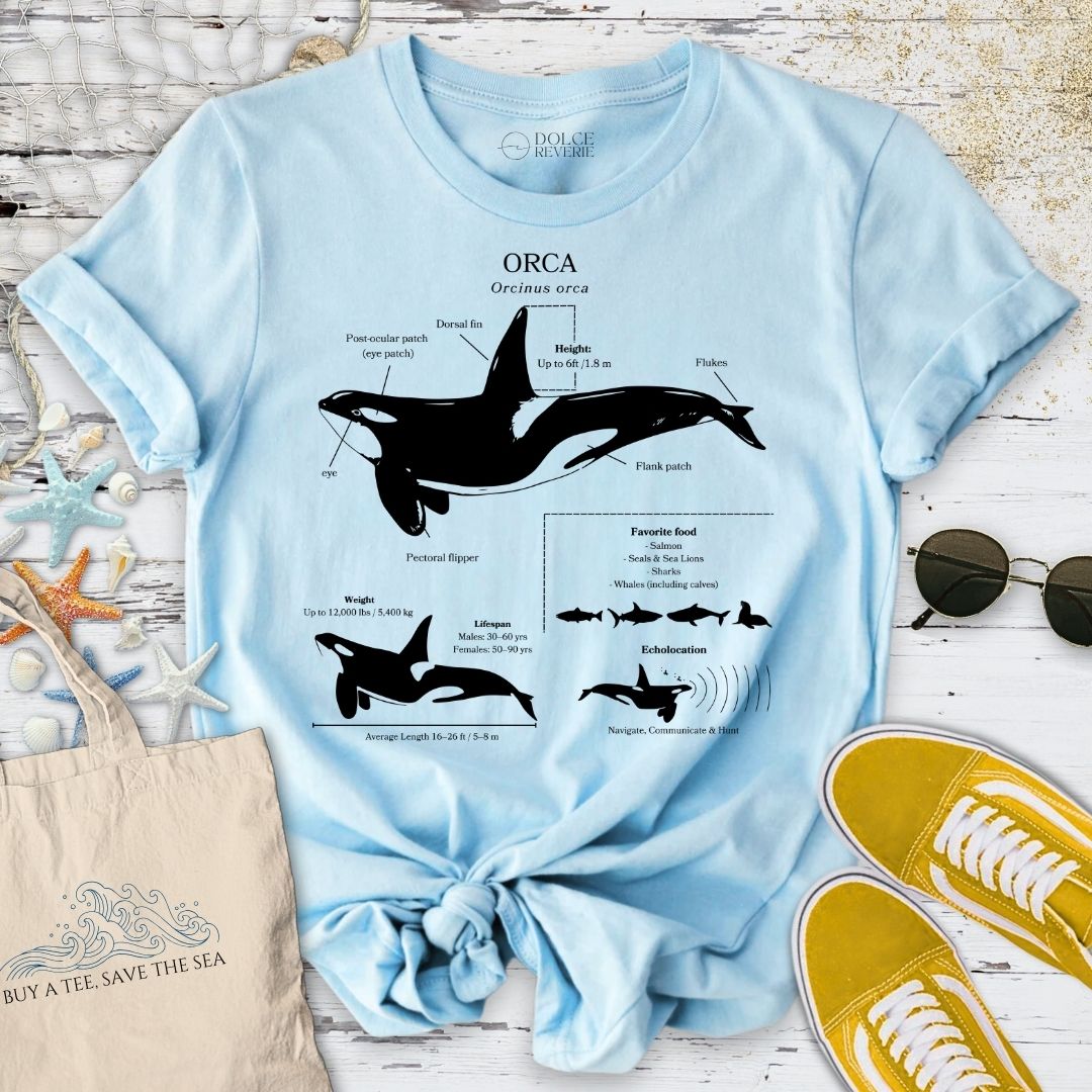Orca Anatomy T-Shirt