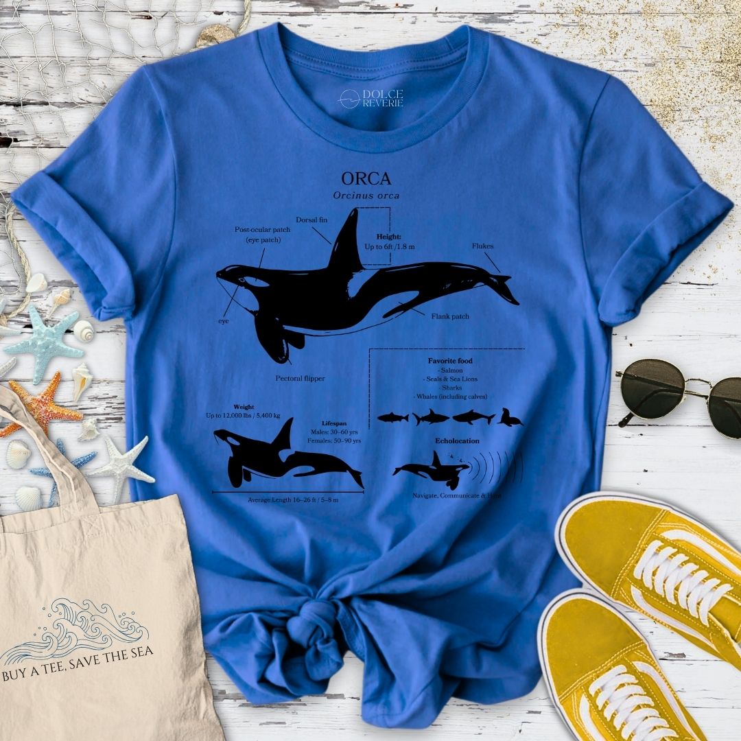 Orca Anatomy T-Shirt