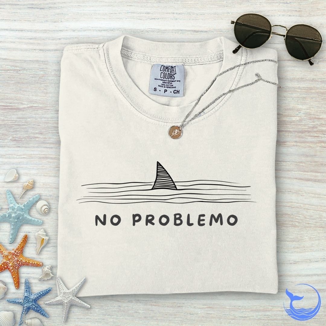 No problemo Comfort Colors T-Shirt