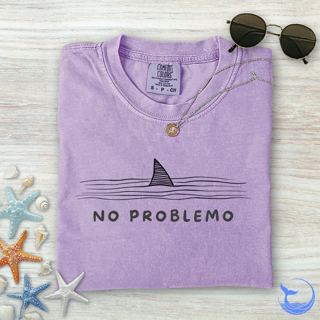 No problemo Comfort Colors T-Shirt