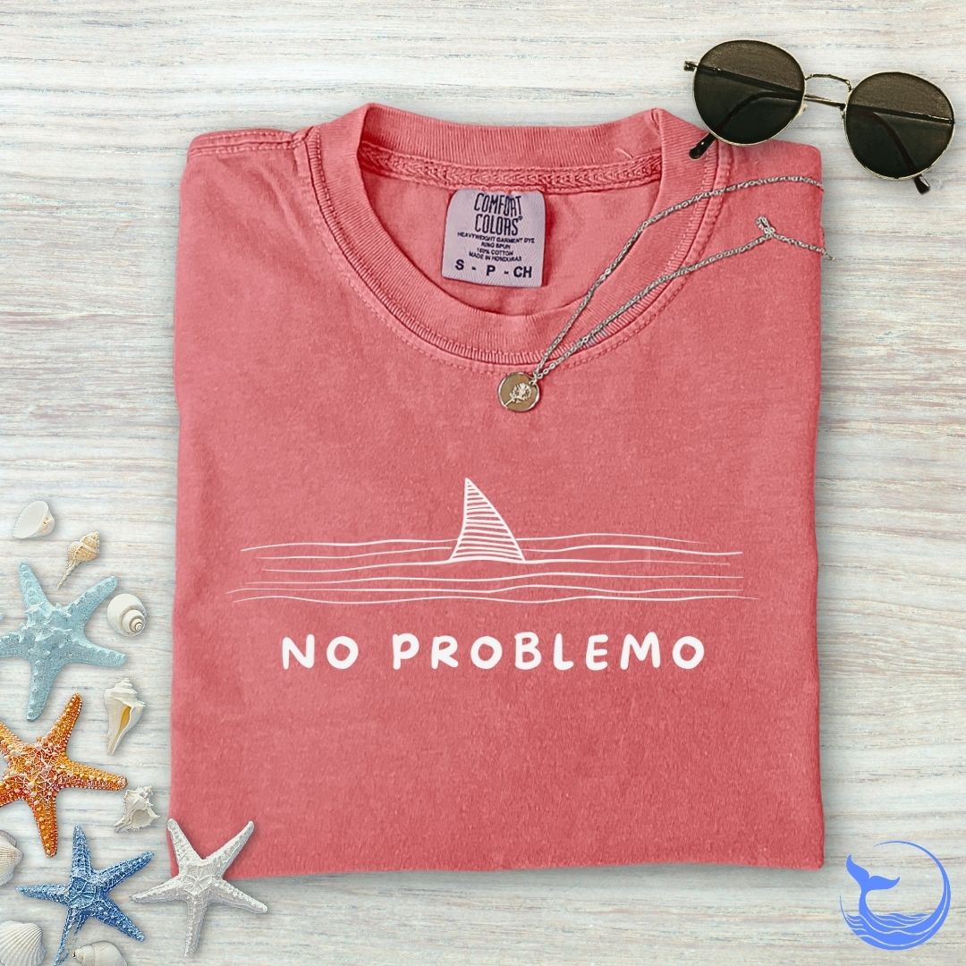 No problemo Comfort Colors T-Shirt