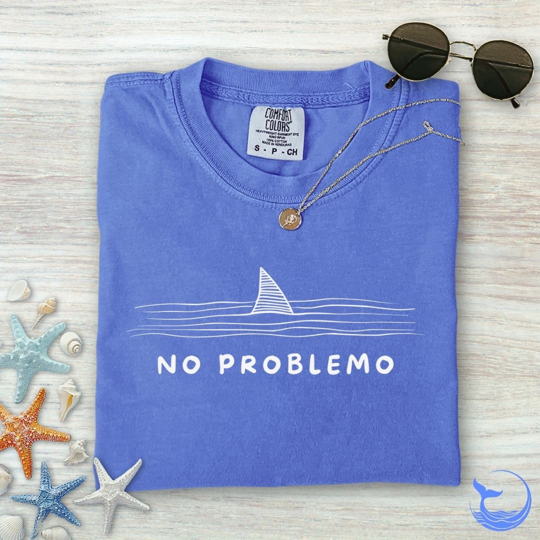 No problemo Comfort Colors T-Shirt