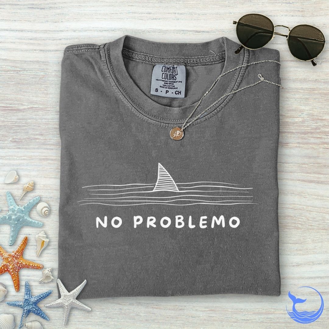 No problemo Comfort Colors T-Shirt