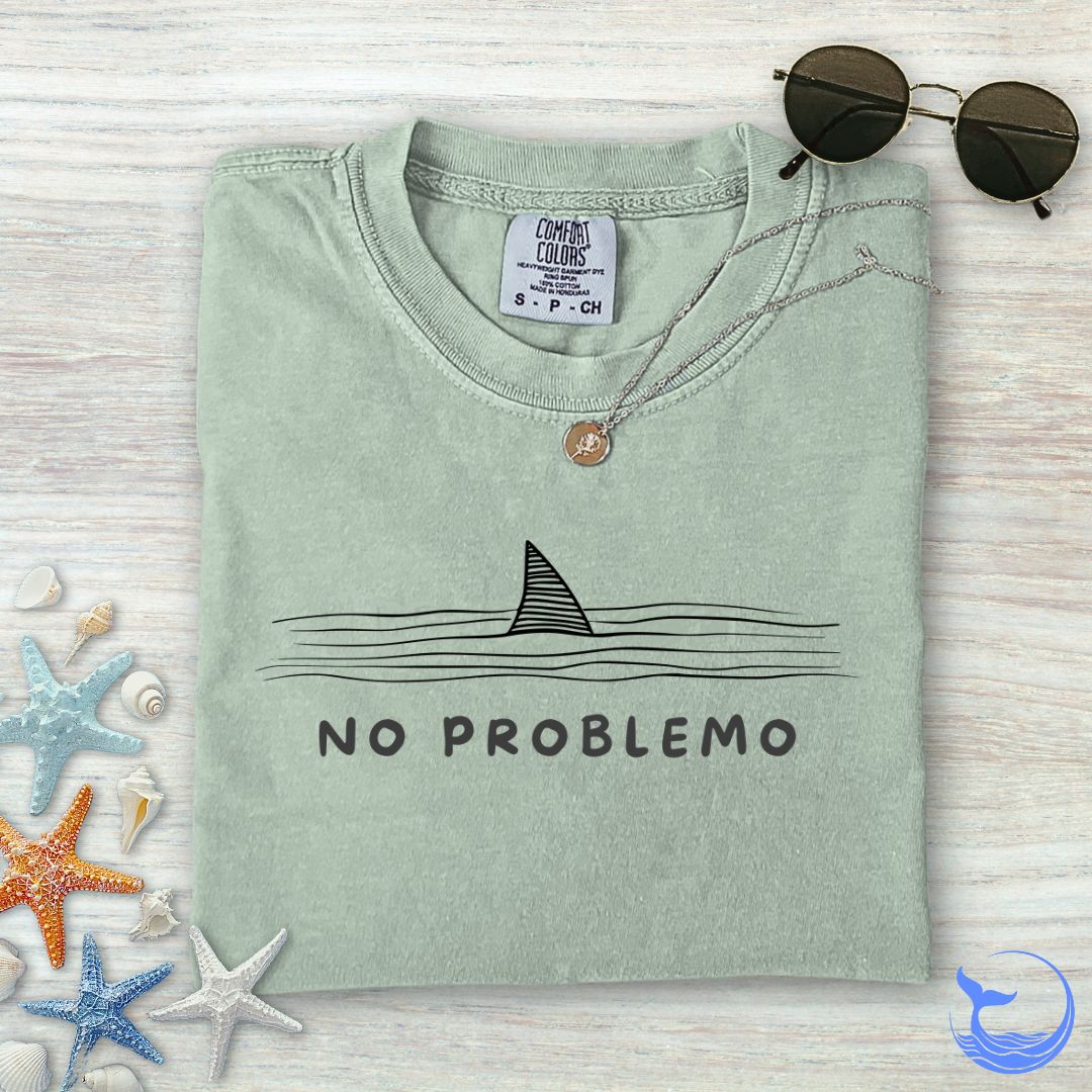 No problemo Comfort Colors T-Shirt