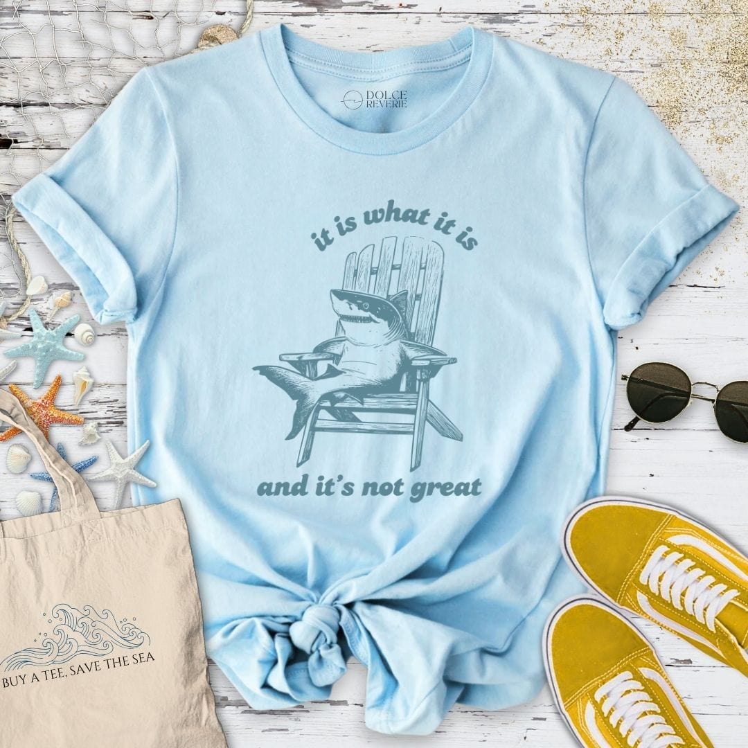 It Is What It Is T-Shirt Light Blue / S