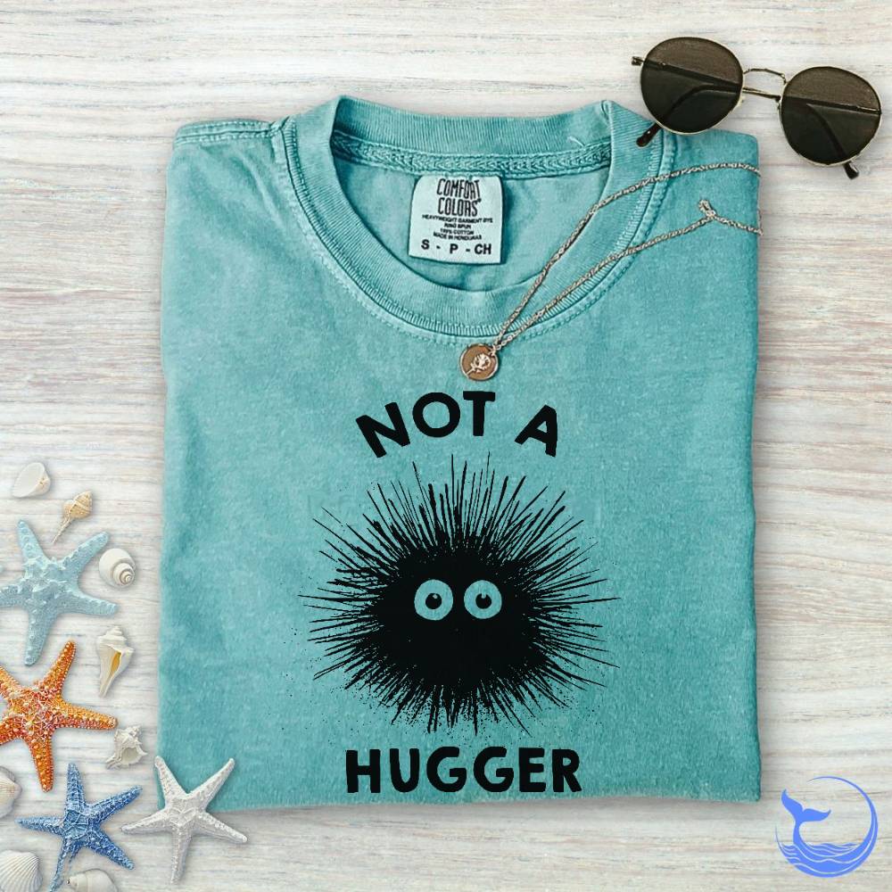 Not a Hugger Comfort Colors T-Shirt in Seafoam - Dolce Reverie