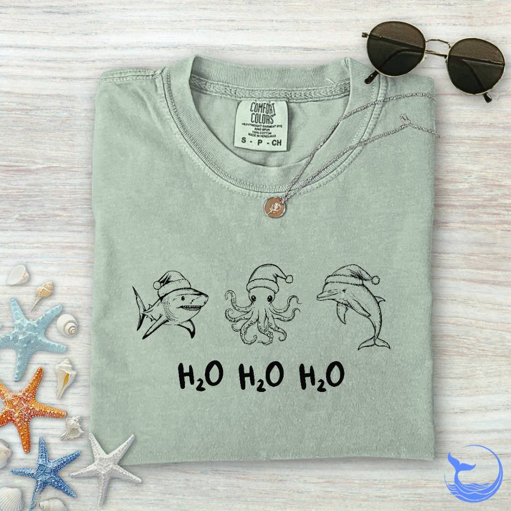 Marine Ho Ho Ho Comfort Colors T-Shirt