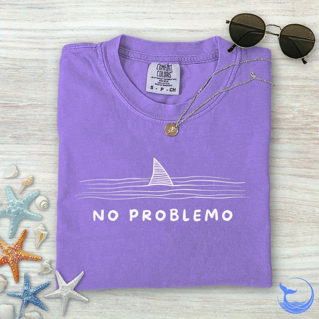 No problemo Comfort Colors T-Shirt