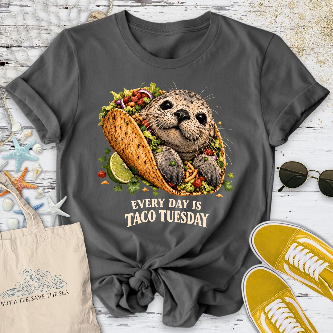 Taco Tuesday Seal T-Shirt in Charcoal - Dolce Reverie