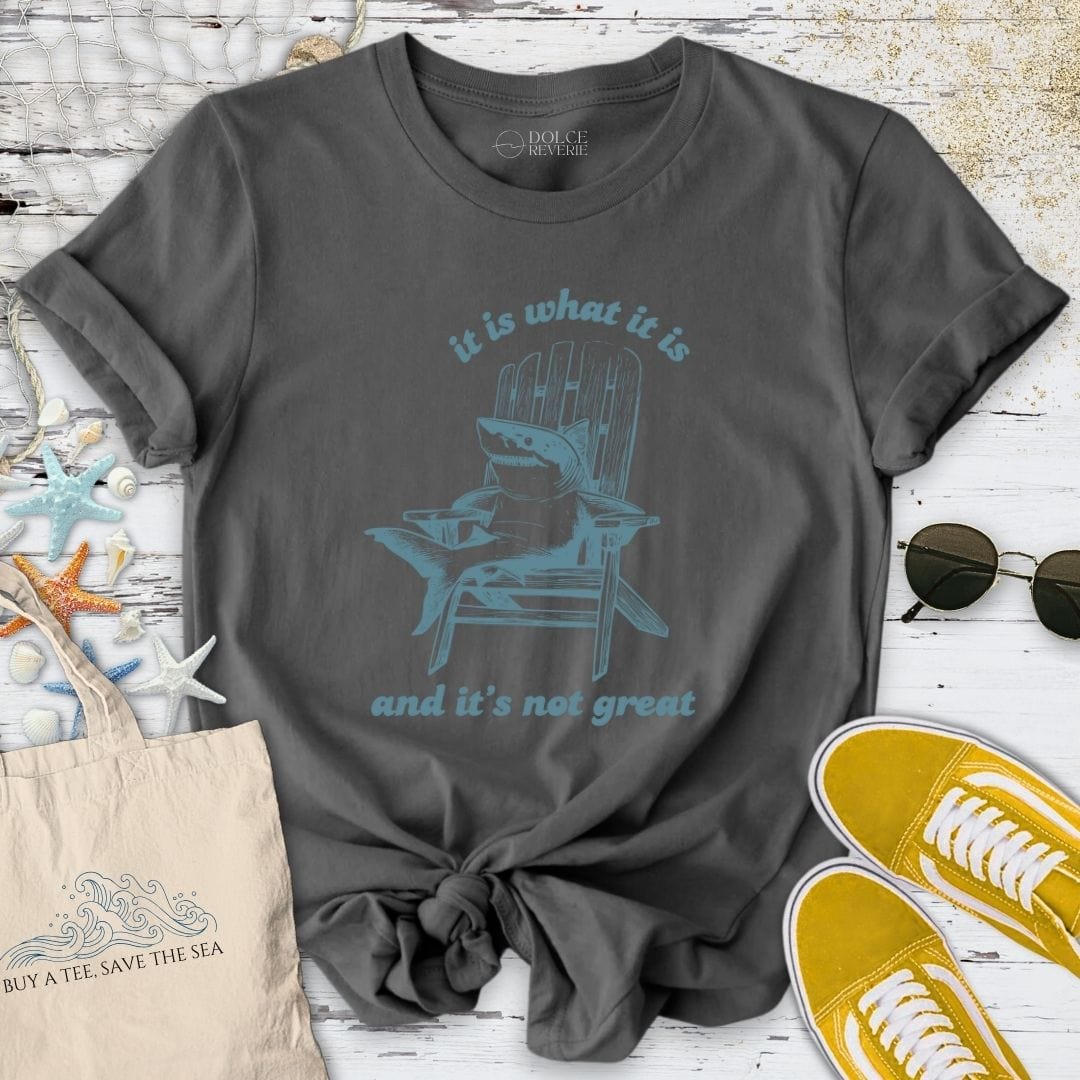 It Is What It Is T-Shirt Charcoal / S