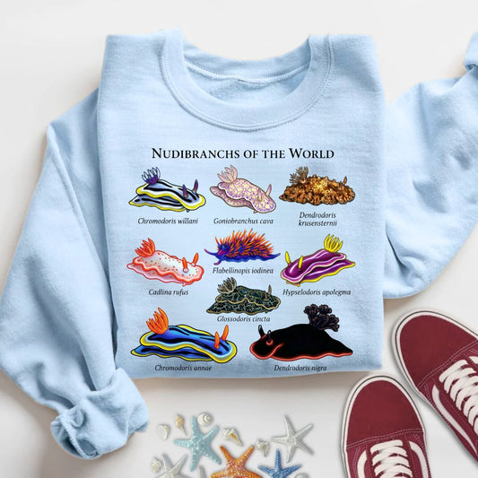 Nudibranchs Of The World Sweatshirt in Light Blue - Dolce Reverie