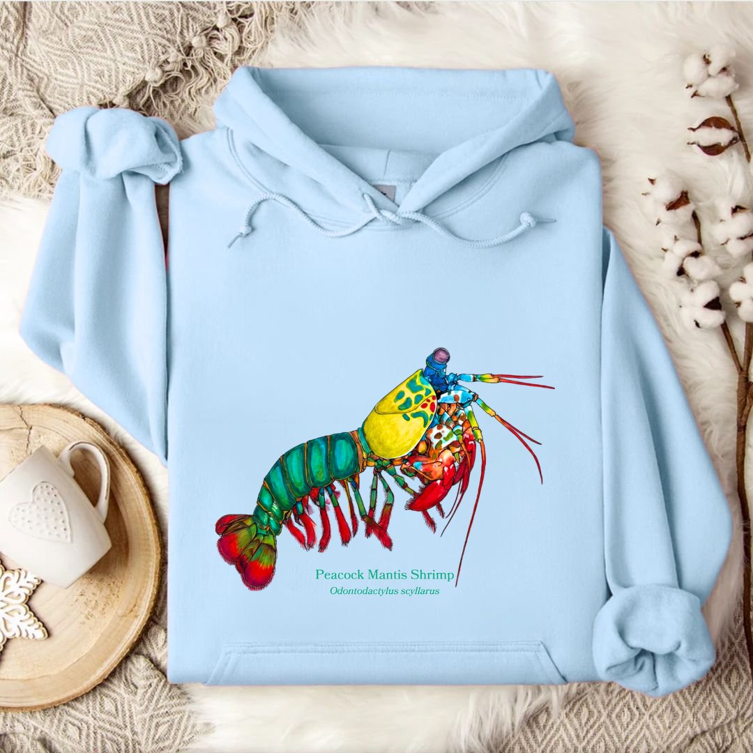 Mantis Shrimp Hoodie
