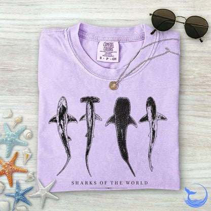 Sharks Of The World Comfort Colors T-Shirt in Orchid - Dolce Reverie