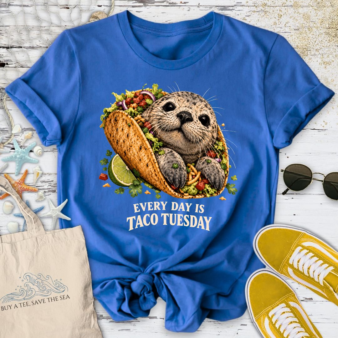 Taco Tuesday Seal T-Shirt in Royal - Dolce Reverie