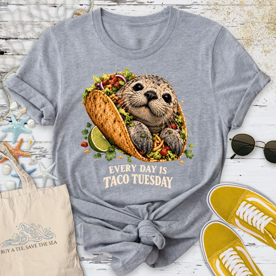 Taco Tuesday Seal T-Shirt in Sport Grey - Dolce Reverie