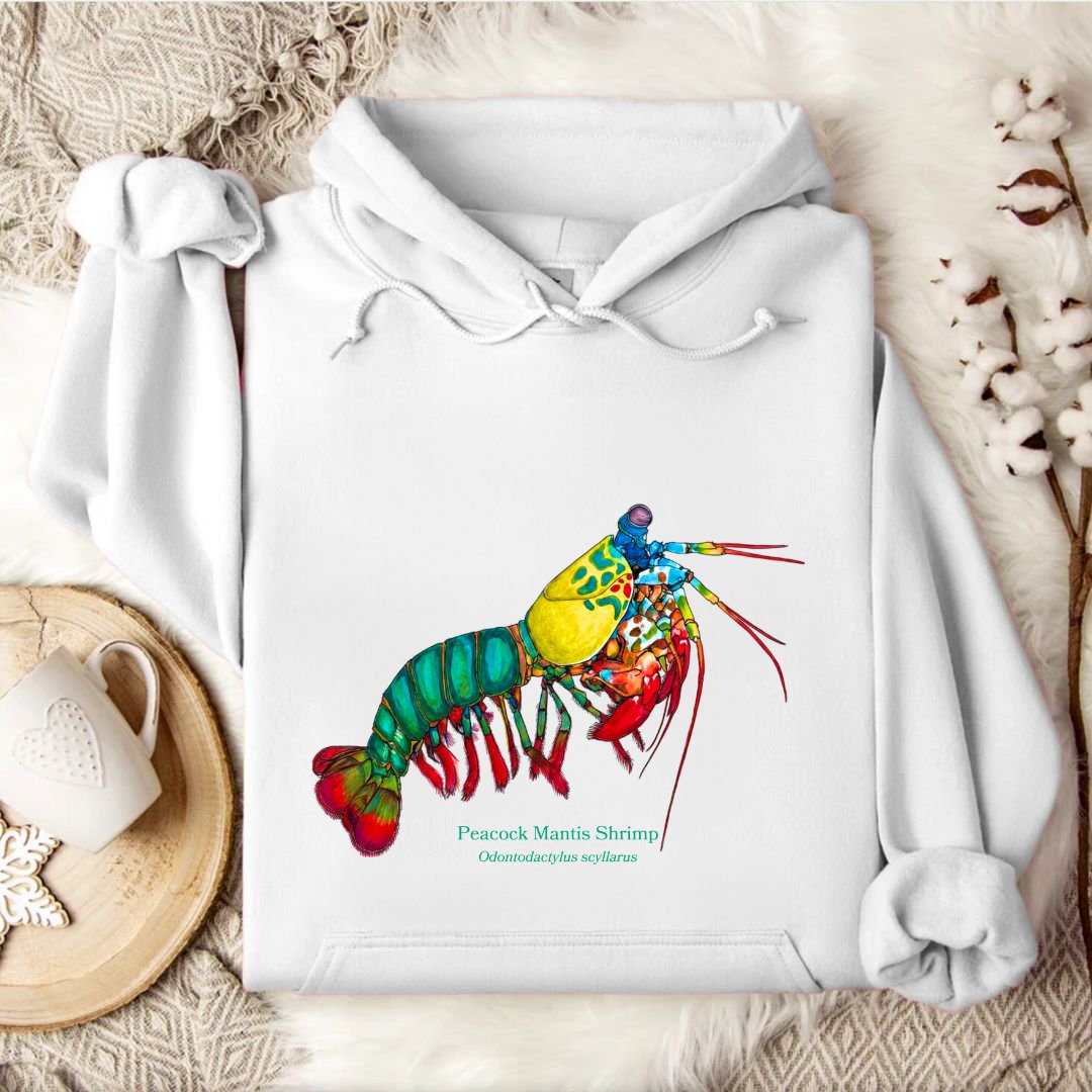 Mantis Shrimp Hoodie